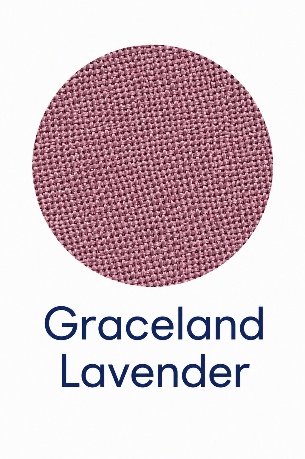Graceland Lavender